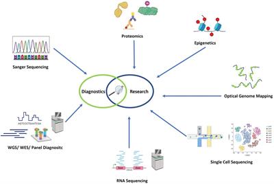 Current genetic diagnostics in inborn errors of immunity